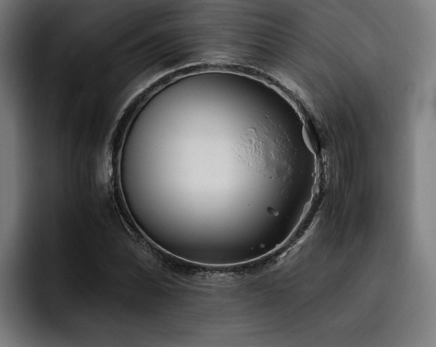 X0000093461070200710121402