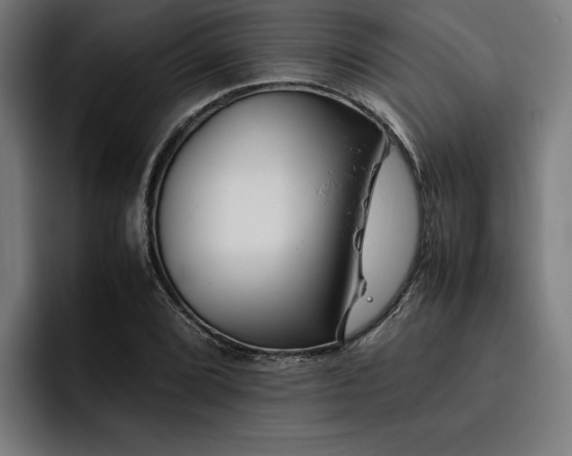 X0000093461072200710121402