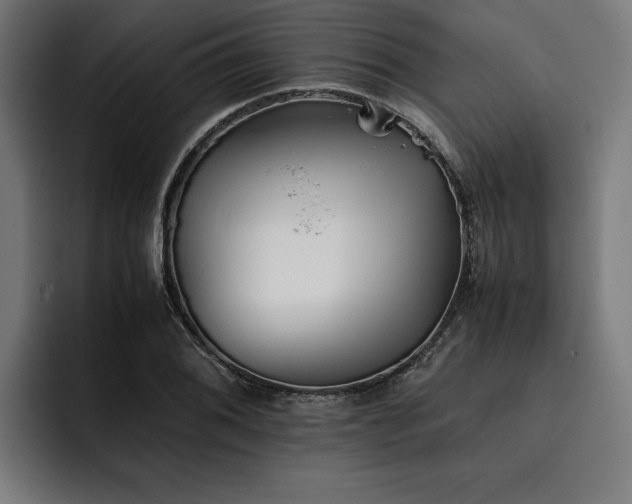 X0000093461076200710121402