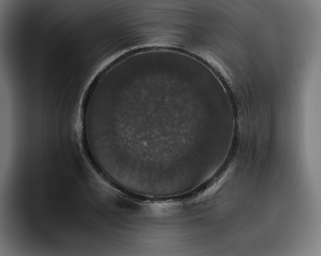 X0000093461077200710121402