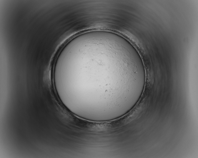 X0000093461078200710121402