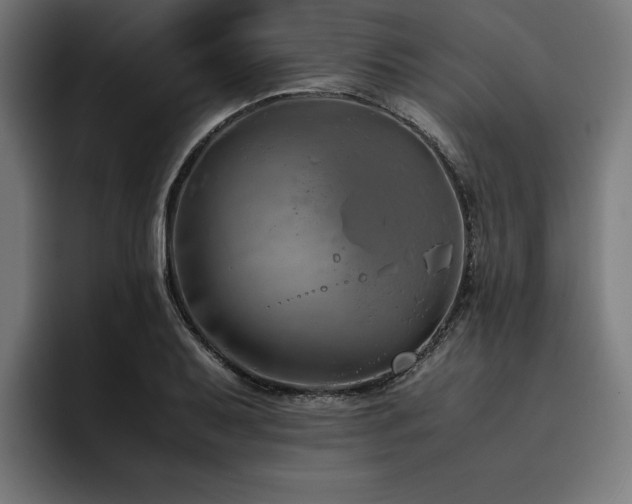 X0000093461079200710121402