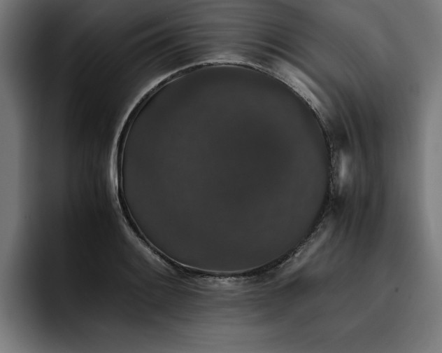 X0000093461084200710121402