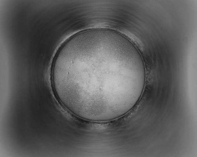 X0000093461086200710121402