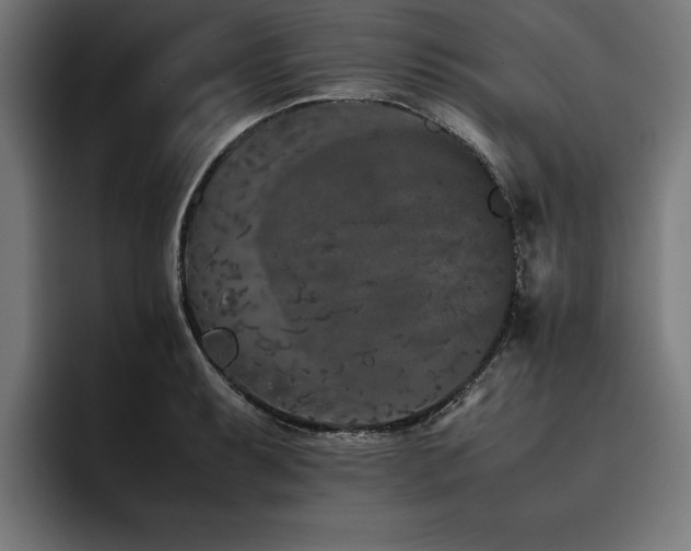 X0000093461087200710121402