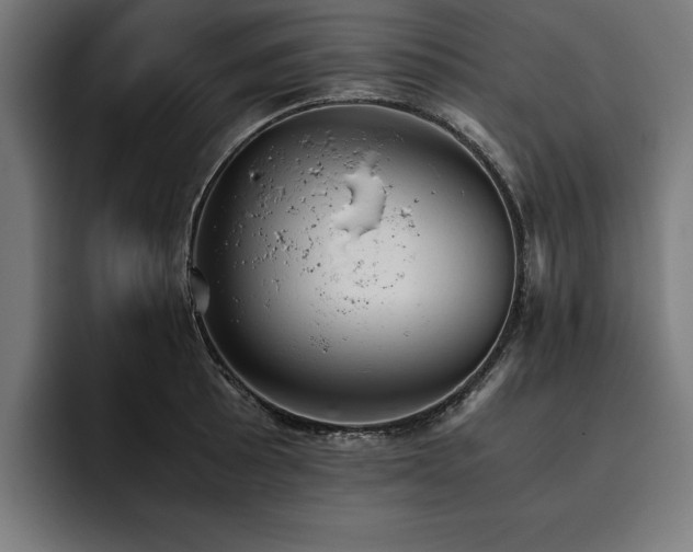 X0000093461089200710121402