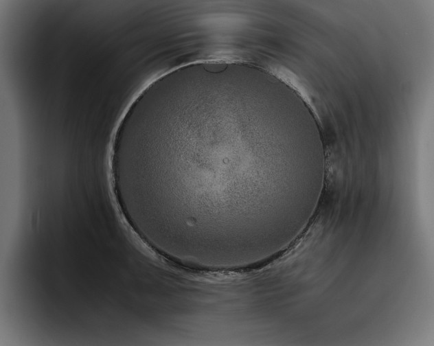 X0000093461091200710121402