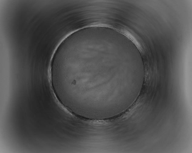 X0000093461092200710121402