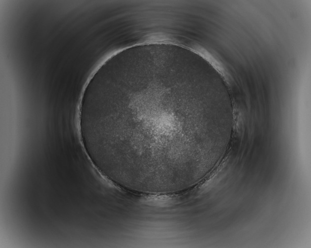 X0000093461094200710121402