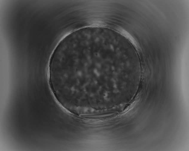 X0000093461095200710121402