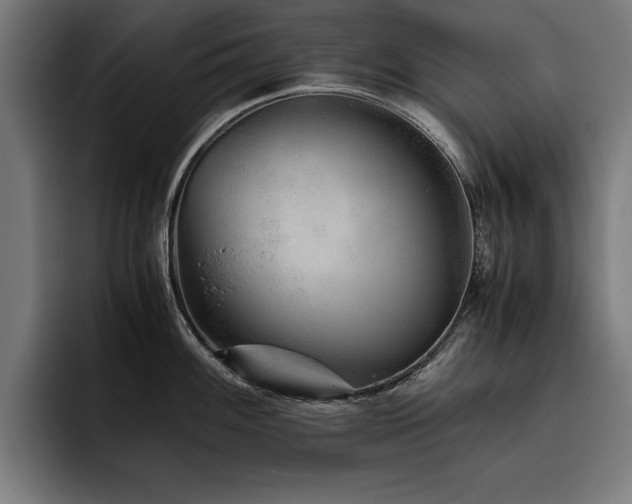 X0000093461100200710121402