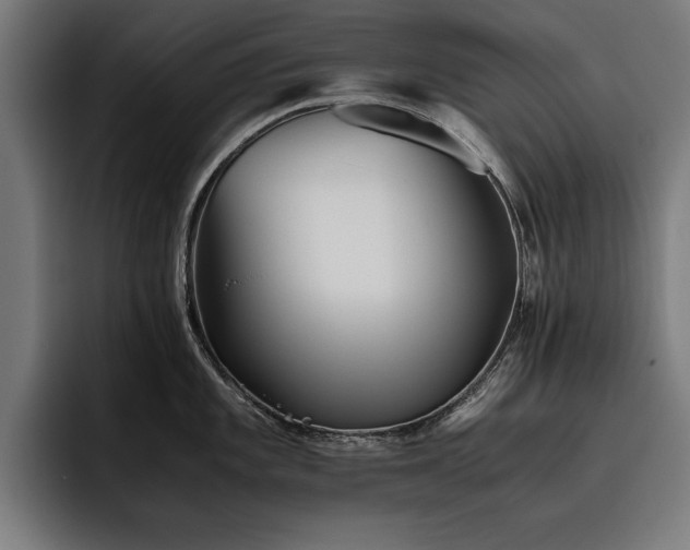 X0000093461101200710121402