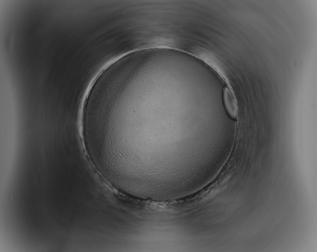 X0000093461104200710121402