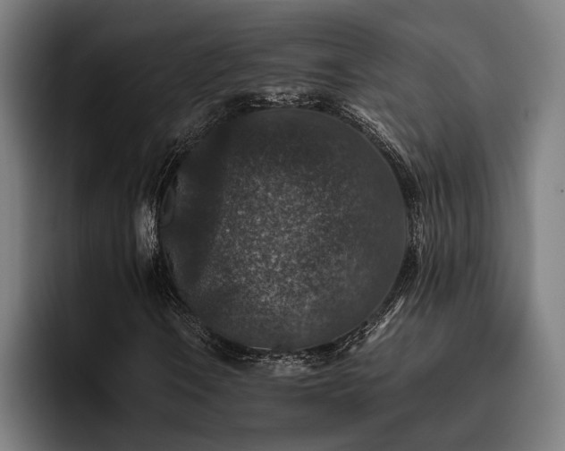 X0000093461106200710121401