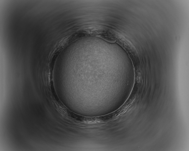 X0000093461108200710121401