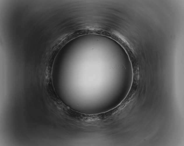 X0000093461110200710121401