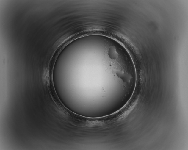 X0000093461113200710121401