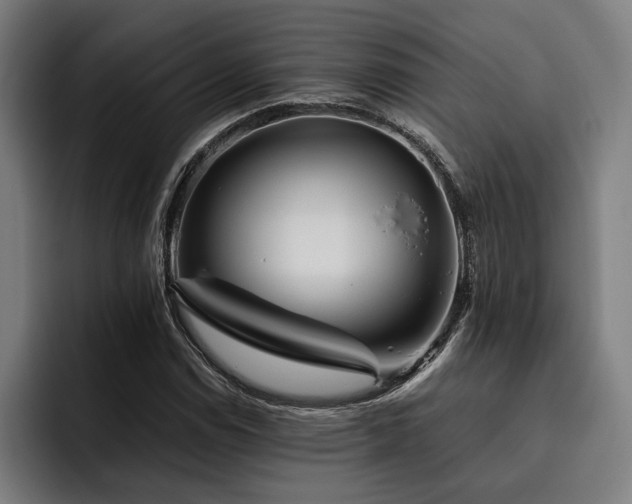 X0000093461114200710121401