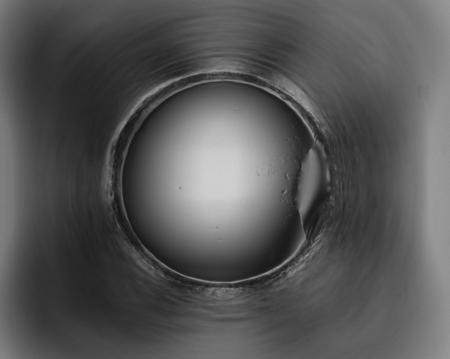 X0000093461116200710121401