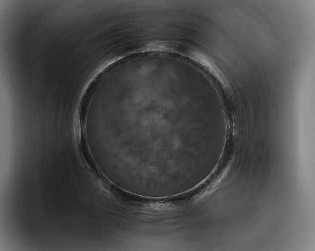 X0000093461117200710121401