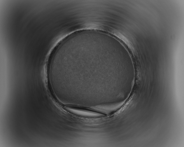 X0000093461120200710121401