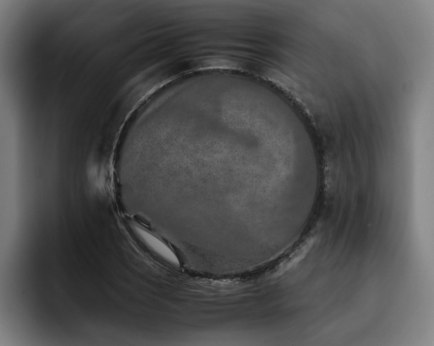 X0000093461121200710121401