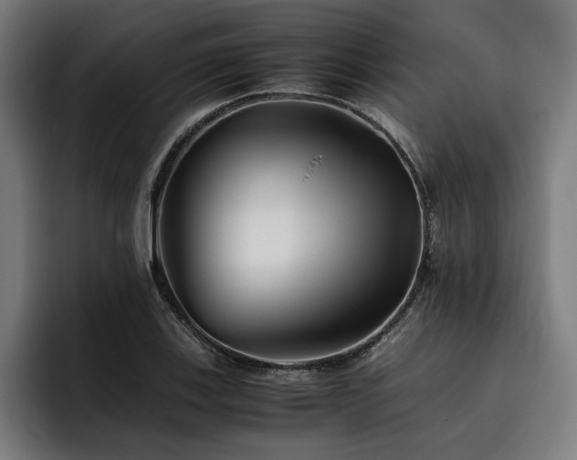 X0000093461123200710121401