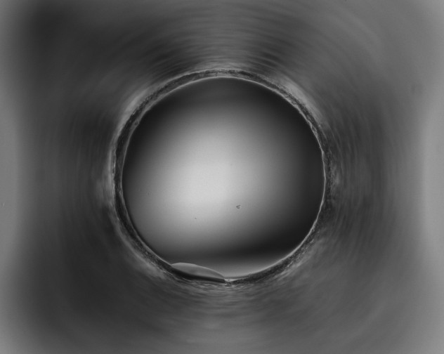 X0000093461124200710121401