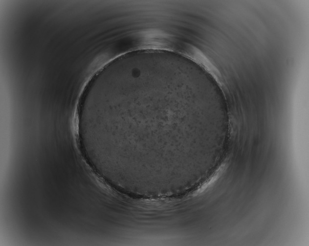 X0000093461125200710121401