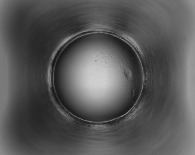 X0000093461128200710121401