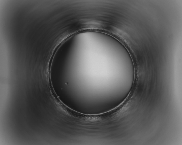 X0000093461129200710121401