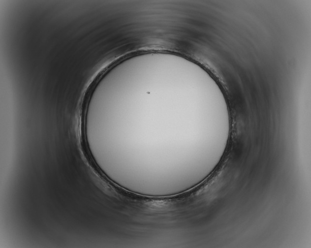 X0000093461130200710121401