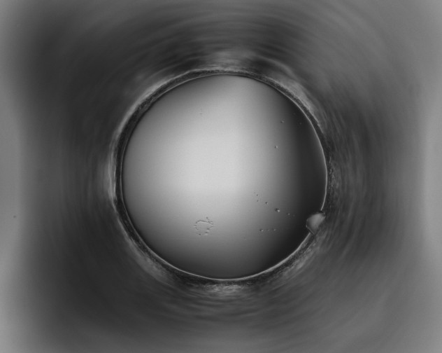 X0000093461131200710121401