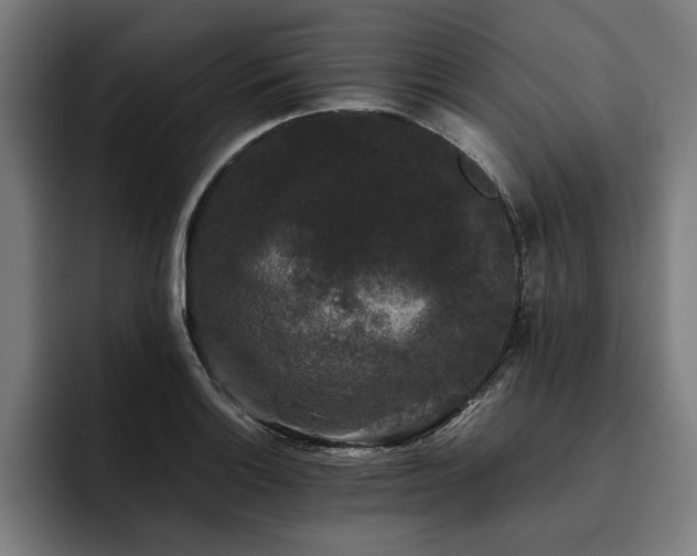 X0000093461132200710121401