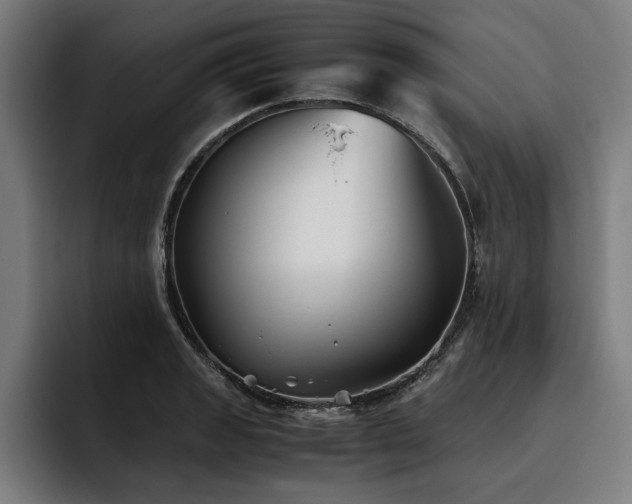 X0000093461133200710121401