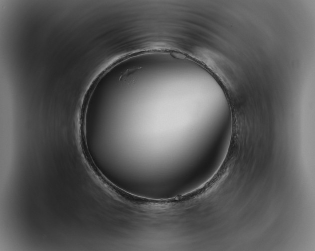 X0000093461134200710121401