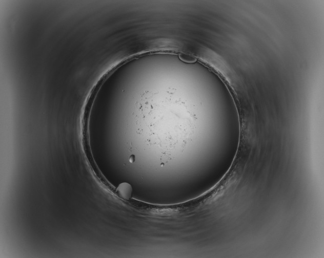 X0000093461135200710121401