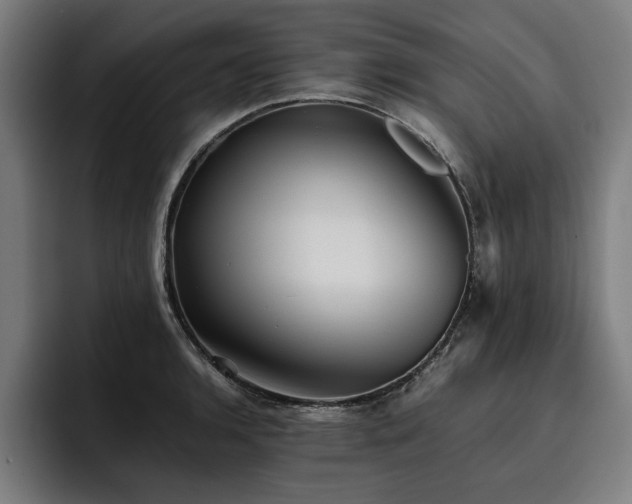 X0000093461136200710121401