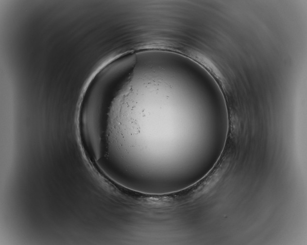 X0000093461138200710121401