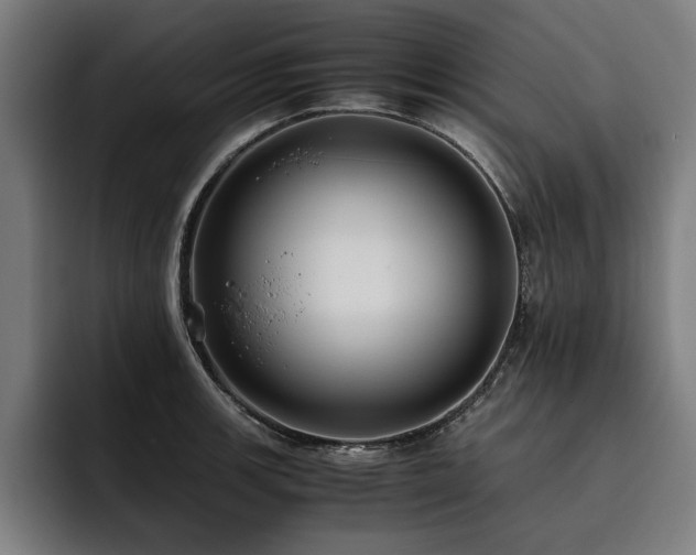 X0000093461139200710121401