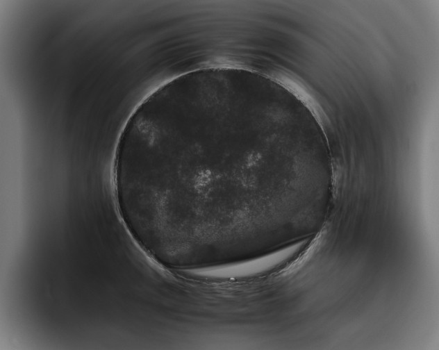 X0000093461141200710121401