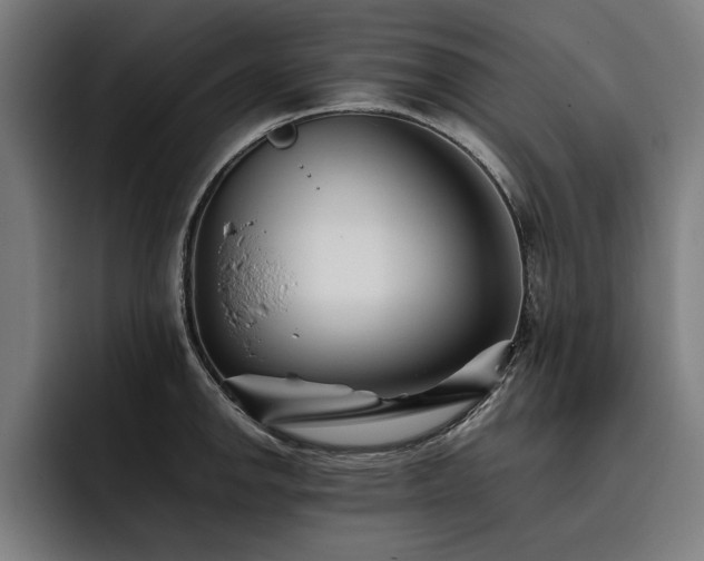 X0000093461142200710121401