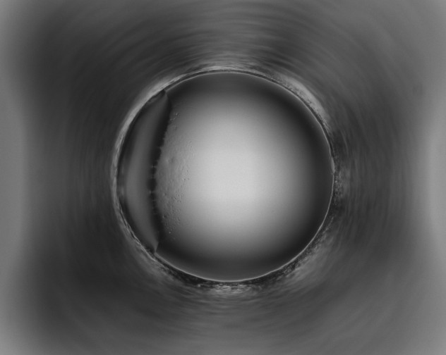 X0000093461146200710121401