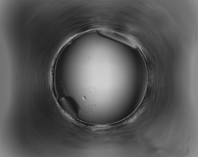 X0000093461151200710121402