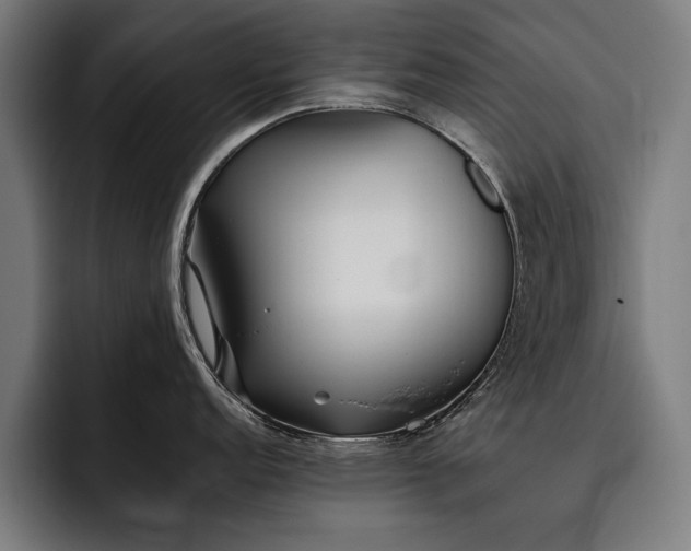 X0000093461152200710121402