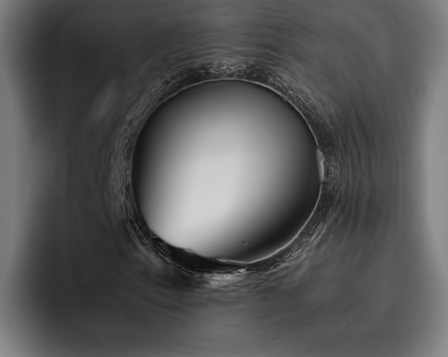 X0000093461153200710121401