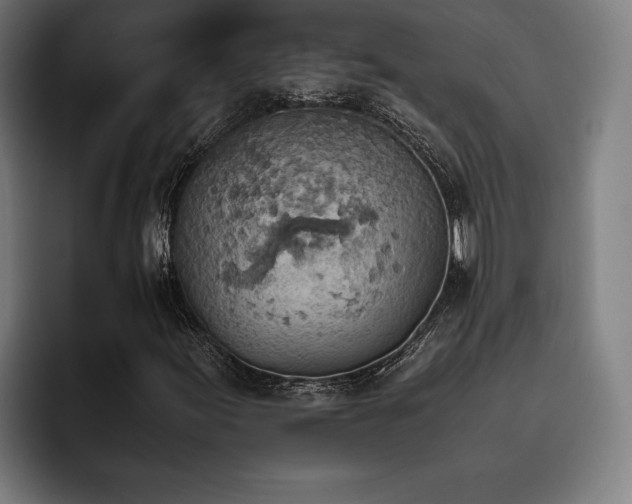 X0000093461155200710121401