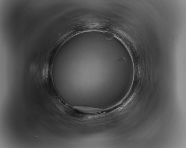 X0000093461161200710121401