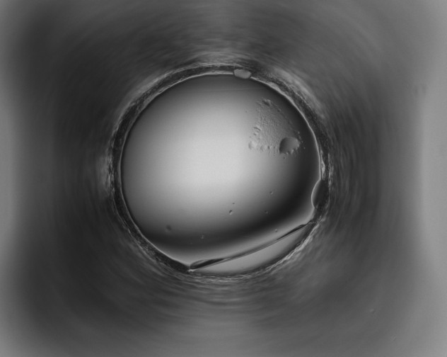 X0000093461164200710121401