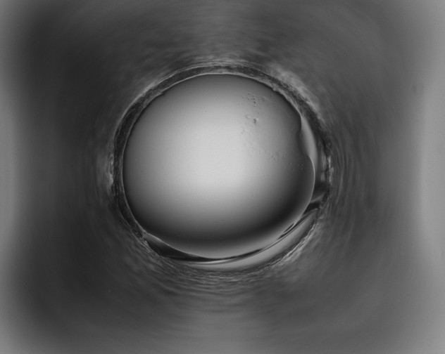 X0000093461165200710121401